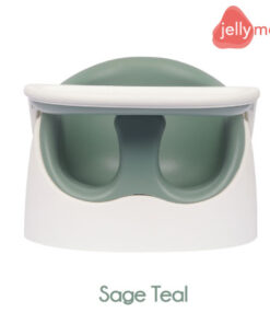 Wise Chair ( Sage Teal )