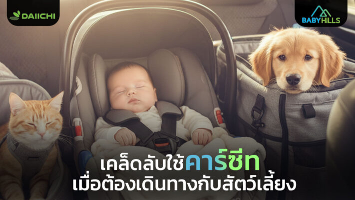 car seat pets safety