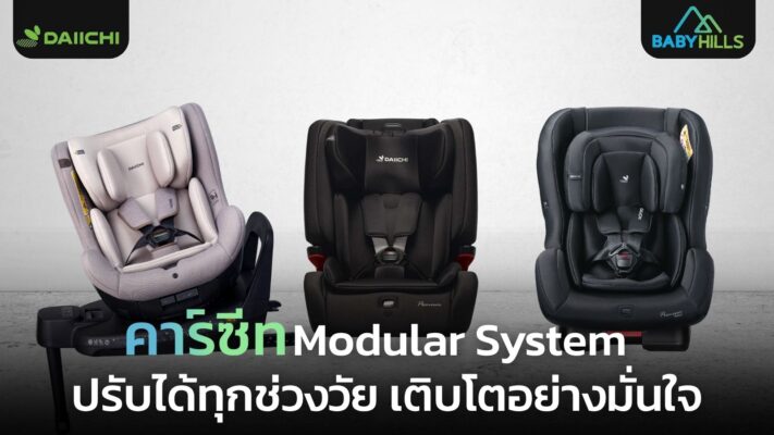 modular infant car seat system overview.jpg